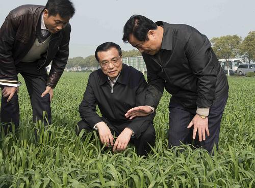 3月27日至29日,中共中央政治局常委、國務(wù)院總理李克強先后到江蘇、上海考察。這是3月28日,李克強在江蘇省常熟市田娘家庭農(nóng)場察看麥苗長勢。新華社記者 李學(xué)仁 攝