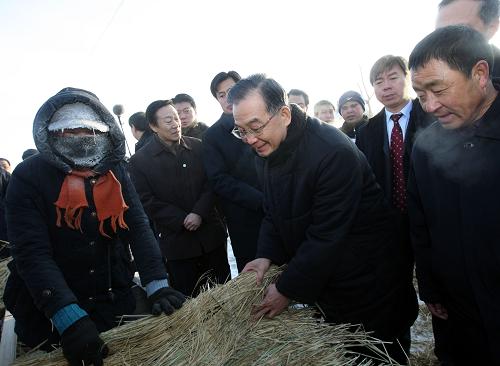這是1月2日,溫家寶冒著零下28攝氏度的嚴寒,來到位于扎龍濕地附近的林甸縣三合鄉(xiāng)勝利村,在村民杜瑞芬家的院子里,翻看村民用稻草編的草席。 新華社記者蘭紅光攝