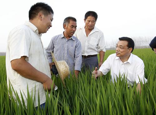8月20日至22日,中共中央政治局常委、國(guó)務(wù)院副總理李克強(qiáng)在江蘇省考察。這是8月21日,李克強(qiáng)在連云港市東??h周徐村糧食高產(chǎn)示范科研項(xiàng)目基地向農(nóng)民詢問水稻種植管護(hù)、技術(shù)服務(wù)等情況。新華社記者 劉建生 攝
