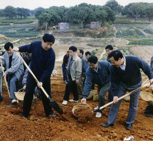 這是1995年12月,時任福建省委副書記、福州市委書記的習(xí)近平(前排左一)在閩侯參加閩江下游防洪堤加固工程的勞動。新華社發(fā)