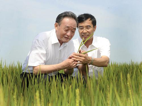 7月16日至21日,中共中央政治局常委、全國人大常委會委員長吳邦國赴黑龍江大興安嶺、佳木斯、撫遠、雞西等地調(diào)研。新華社記者 謝環(huán)馳 攝