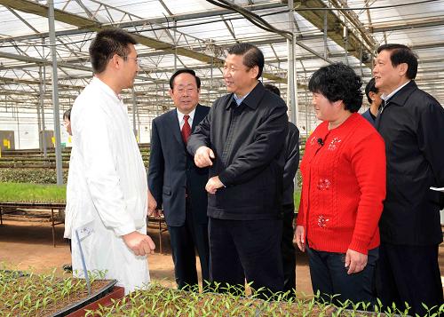 中共中央政治局常委、中央書記處書記、國家副主席習(xí)近平近日在北京調(diào)研。 這是3月25日,習(xí)近平在北京市房山區(qū)韓村河高科技蔬菜園區(qū)調(diào)研。 新華社記者 饒愛民 攝