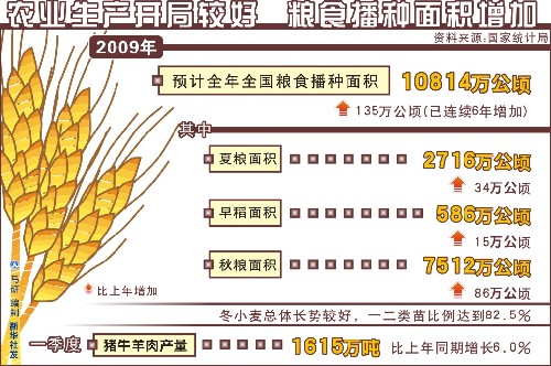 圖表:農(nóng)業(yè)生產(chǎn)開局較好 糧食播種面積增加 新華社發(fā)