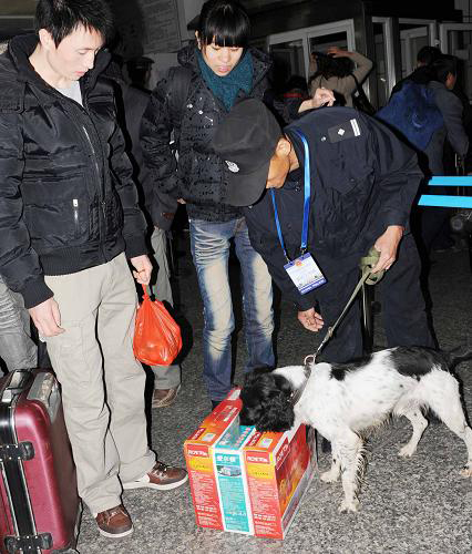 1月8日,民警帶著搜爆犬在廣州火車站候車大廳對(duì)旅客行李進(jìn)行搜爆檢查。新華社發(fā)(丁勇 攝)