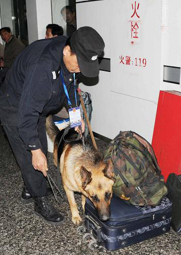 1月8日,鐵路民警帶著搜爆犬在廣州火車站候車大廳對(duì)旅客行李進(jìn)行搜爆檢查。新華社發(fā)(丁勇 攝)