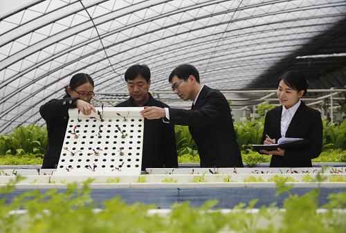 12月27日，在河南省寶豐縣康龍農(nóng)業(yè)園區(qū)，寶豐農(nóng)商銀行信貸員梁小彬（右二）、張偉偉（右一）在了解園區(qū)生產(chǎn)經(jīng)營情況。該園區(qū)目前累計獲得寶豐農(nóng)商銀行貸款4.1億元，從單一的養(yǎng)殖業(yè)務(wù)發(fā)展到集養(yǎng)殖、種植、觀光旅游為一體的大型農(nóng)業(yè)產(chǎn)業(yè)園。今年以來，河南省平頂山市寶豐縣的農(nóng)商銀行等涉農(nóng)金融機(jī)構(gòu)，創(chuàng)新農(nóng)村金融服務(wù)方式，先后在農(nóng)村市場推出了興農(nóng)貸、畜牧貸、助創(chuàng)貸等信貸產(chǎn)品，以預(yù)約服務(wù)、上門服務(wù)等方式，滿足當(dāng)?shù)睾献魃?、種糧大戶、特色養(yǎng)殖戶以及涉農(nóng)企業(yè)的金融服務(wù)需求，促進(jìn)農(nóng)業(yè)產(chǎn)業(yè)結(jié)構(gòu)提檔升級。當(dāng)?shù)剞r(nóng)商銀行還無償代理發(fā)放20多項惠農(nóng)資金，農(nóng)民可在各鄉(xiāng)鎮(zhèn)設(shè)立的68個金融自助服務(wù)點便捷地辦理金融業(yè)務(wù)。