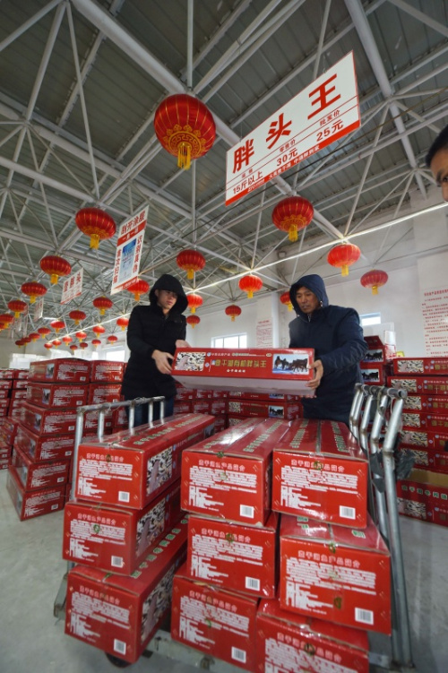 電商平臺(tái)代理人員在吉林查干湖漁場(chǎng)超市搬運(yùn)查干湖胖頭魚（1月8日攝）。新華社記者 張楠 攝