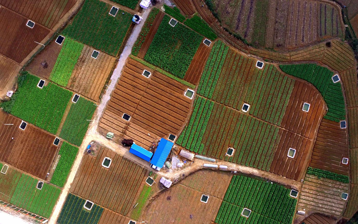 這是廣西大化瑤族自治縣大化鎮(zhèn)亮山村村貌（2015年12月21日攝）。