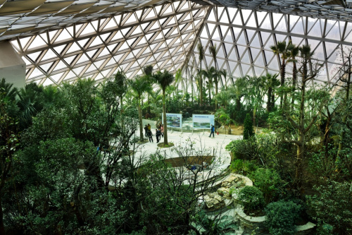 唐山世園會熱帶植物館一角（1月20日攝）。新華社記者 牟宇 攝