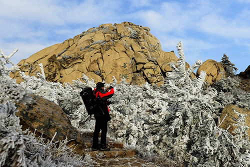 2月14日，在山東青島靈珠山，一名游客在拍攝因降溫而出現(xiàn)的霧凇。