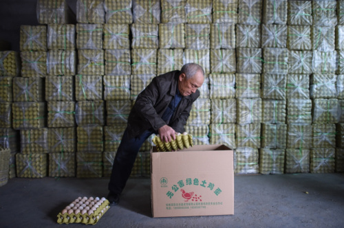 2月25日，松桃縣青山村富民蛋雞養(yǎng)殖專業(yè)合作社的村民正在包裝雞蛋，養(yǎng)殖場所生產的雞蛋幾乎全部通過電商平臺銷售。近年來，貴州省銅仁市松桃縣大力發(fā)展農村電商事業(yè)，利用淘寶、京東、苗家購等電商平臺推廣當地特色農牧產品、民族文化產品等，為山貨出山、帶動貧困地區(qū)農村經濟發(fā)展找到一條新路。新華社記者 劉續(xù) 攝