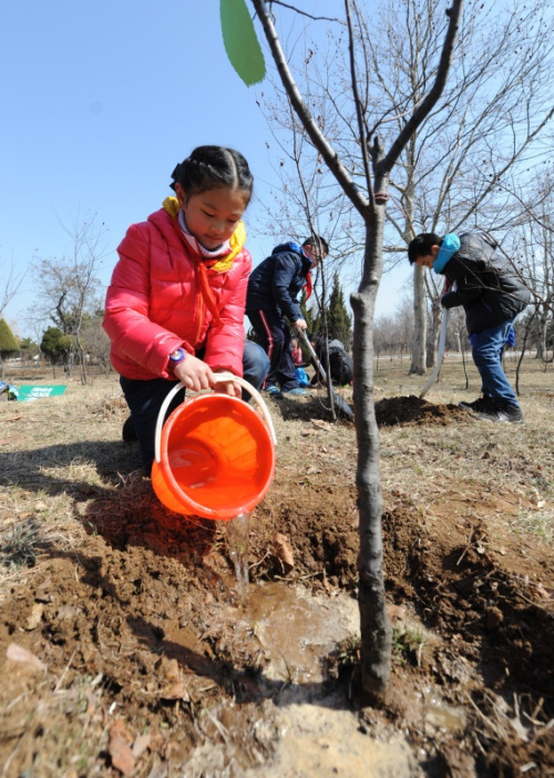 3月11日，煙臺(tái)市瀟翔小學(xué)學(xué)生在濱海路森林公園給小樹澆水。當(dāng)日，山東省煙臺(tái)市瀟翔小學(xué)舉行“我與小樹共成長”主題活動(dòng)，學(xué)生們以實(shí)際行動(dòng)為城市增添綠色，美化生活環(huán)境。新華社發(fā)（初陽 攝）