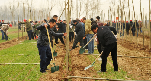 3月12日，市民在滄州市運(yùn)河區(qū)參加植樹(shù)活動(dòng)。新華社記者 牟宇 攝