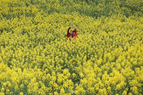3月12日，游客在重慶市黔江區(qū)阿蓬江流域的油菜花田中拍照留影。新華社發(fā)（楊敏 攝）