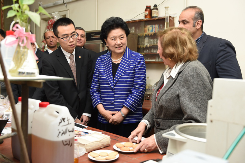 3月28日，在埃及首都開羅，中國(guó)國(guó)務(wù)院副總理劉延?xùn)|（中）參觀埃及國(guó)家研究中心藥用植物實(shí)驗(yàn)室。