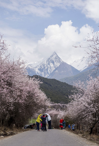 游客在西藏波密縣境內(nèi)的路上和桃花美景合影（4月1日攝）。