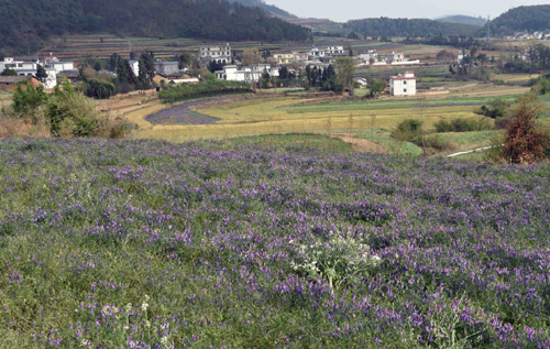 尋甸縣七星鎮(zhèn)鄉(xiāng)村景色（4月5日攝）。