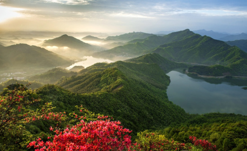 山花映襯下的霍山縣屋脊山（4月9日攝）。新華社發(fā)（杜向明 攝）