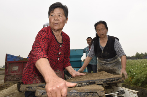 4月13日，和興鎮(zhèn)國防村的農(nóng)民在使用育秧盤培育水稻種子。