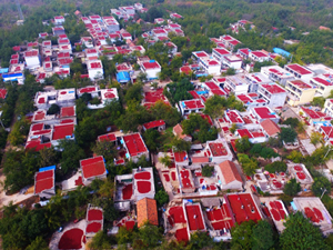 標A.jpg