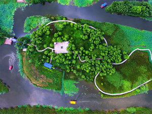 運河1-225.jpg