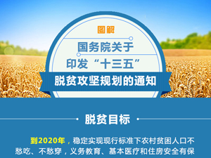 國務(wù)院關(guān)于印發(fā)“十三五”脫貧攻堅(jiān)規(guī)劃的通知a3.jpg