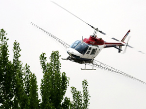 300護(hù)綠3.jpg