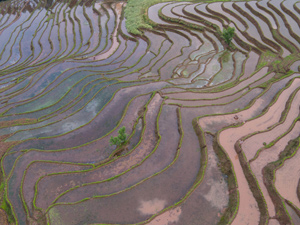 生態(tài)5-300.jpg