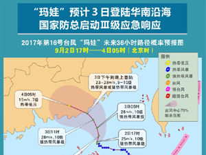 300臺風.jpg
