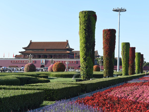 300天安門廣場(chǎng)國慶花壇開始布.jpg