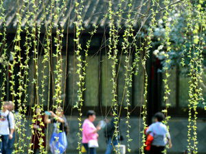 300春色滿園4.jpg