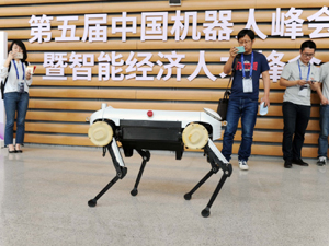 300機器人2.jpg