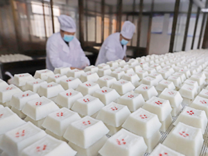 社會(huì)1-300.jpg