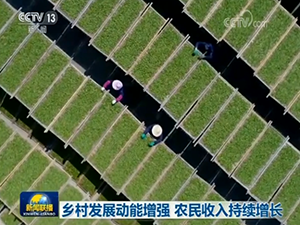 無標(biāo)題.png