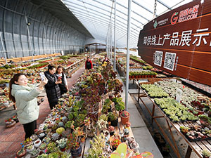 未標題-1 副本.jpg