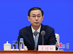 國家稅務(wù)總局總審計(jì)師兼貨物和勞務(wù)稅司司長王道樹.jpg