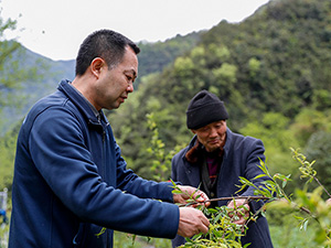 未標題-1-恢復的 副本.jpg
