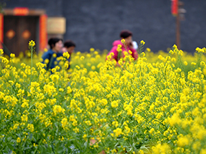 標(biāo)題.jpg