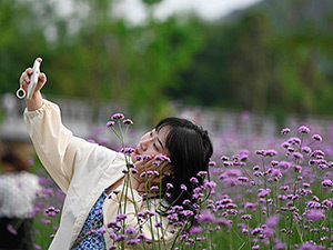 1標題圖.jpg