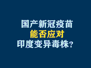 【短視頻題圖】國(guó)產(chǎn)新冠疫苗能否應(yīng)對(duì)印度變異毒株？.jpg