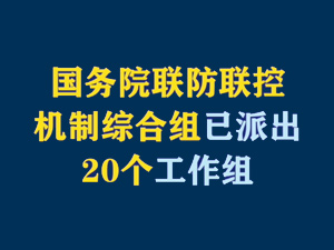 【短視頻題圖】國務(wù)院聯(lián)防聯(lián)控機(jī)制綜合組已派出20個工作組.jpg