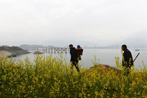 3月1日,湖北省宜昌市夷陵區(qū)太平溪鎮(zhèn)村民從三峽大壩上游岸邊走過,水位下降后庫岸消落帶清晰可見。近日,為應(yīng)對長江口咸潮入侵情勢,三峽水庫加大下泄流量,持續(xù)為下游補(bǔ)水。新華社發(fā)(鄭家裕 攝)