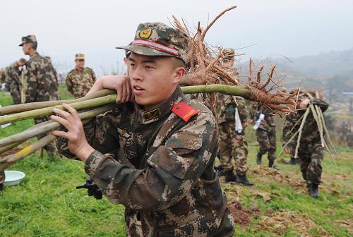 3月12日,一名武警戰(zhàn)士在義務(wù)植樹活動中運送樹木。當(dāng)日,重慶市涪陵區(qū)上萬名普通市民、公務(wù)員和武警官兵參加義務(wù)植樹活動,在長江岸邊的荒山上種植樹苗,為改善長江生態(tài)環(huán)境貢獻(xiàn)力量。新華社記者 李健 攝