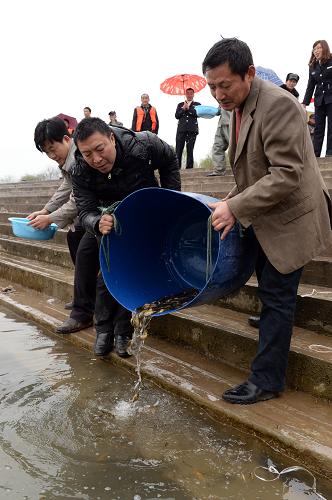 3月13日,四川南充市高坪區(qū)漁業(yè)工作人員和漁民將魚苗放流嘉陵江。當(dāng)日,四川省南充市高坪區(qū)漁政水產(chǎn)管理站在嘉陵江高坪區(qū)段舉行2014年人工增殖放流活動,20萬尾長吻鮠、白蓮、鳙魚、草魚、黃顙魚魚苗被放流,用以豐富嘉陵江的魚類資源。新華社發(fā)(李向雨 攝)