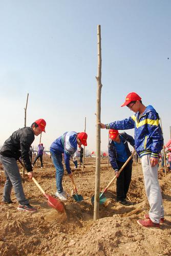 青年志愿者在河北省廊坊市安次區(qū)第三南通道路旁植樹帶植樹(3月22日攝)。新華社記者 王曉 攝