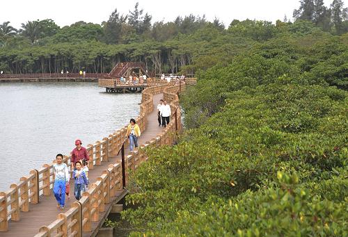 4月13日,游人在??谑袞|寨港紅樹林景區(qū)棧道上參觀游覽。新華社發(fā)(蒙鐘德 攝)