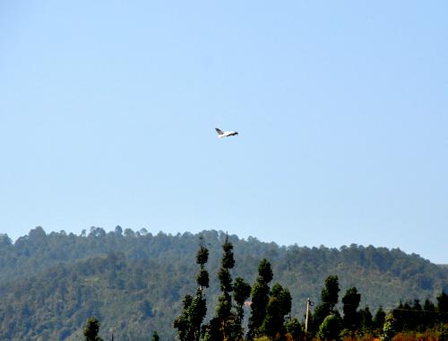 4月15日,武警四川涼山森林支隊小型無人機在西昌市林區(qū)進行火情監(jiān)測。新華社發(fā)(程雪力 攝)