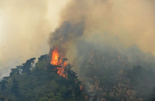 這是猩猩峪山上的一個起火點(4月22日攝)。新華社記者 楊世堯 攝