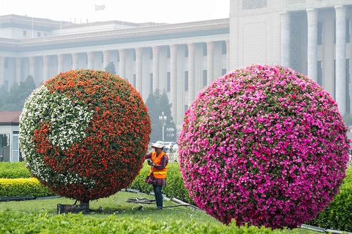 4月23日,工人在北京天安門廣場西側(cè)綠化帶擺花。新華社記者羅曉光攝