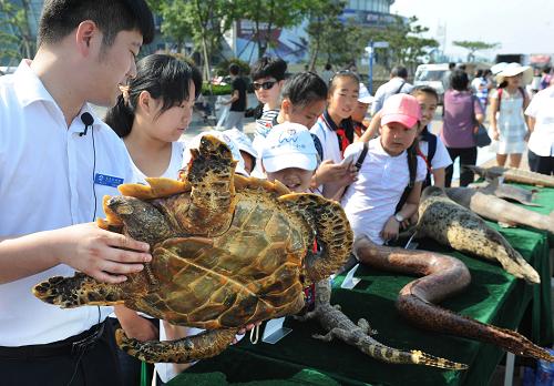 6月8日,青島水族館工作人員(左一)在青島奧帆中心向觀眾介紹海洋生物標(biāo)本。新華社記者 李紫恒 攝